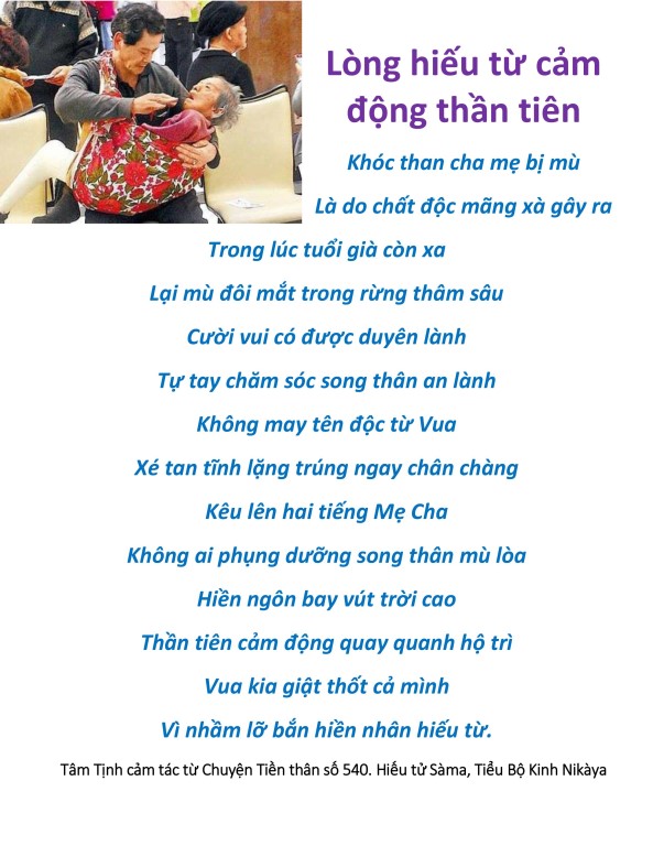 hieu duong cha me_vu lan bao hieu15.jpg
